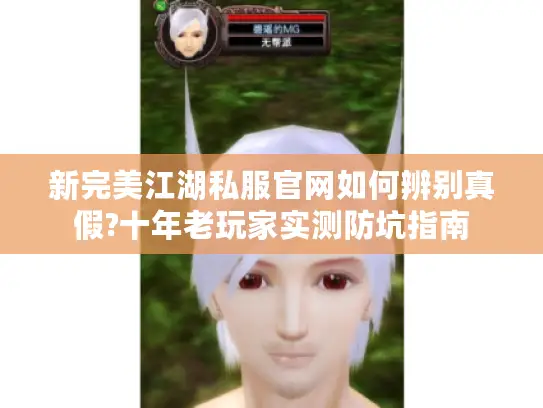 新完美江湖私服官网如何辨别真假?十年老玩家实测防坑指南