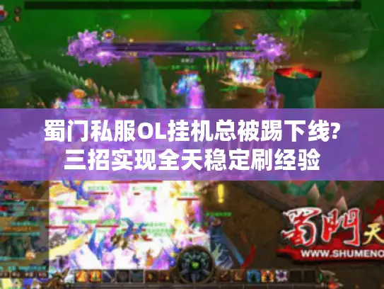 蜀门私服OL挂机总被踢下线?三招实现全天稳定刷经验 蜀门私服OL挂机总被踢下线?三招实现全天稳定刷经验
