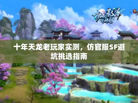 十年天龙老玩家实测，仿官服SF避坑挑选指南