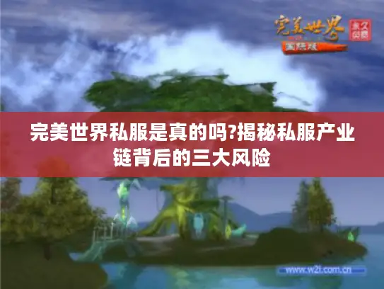 完美世界私服是真的吗?揭秘私服产业链背后的三大风险