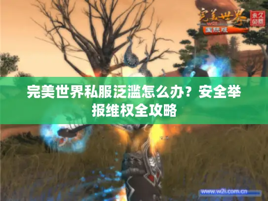 完美世界私服泛滥怎么办？安全举报维权全攻略