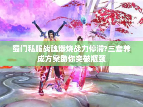 蜀门私服战魂燃烧战力停滞?三套养成方案助你突破瓶颈 蜀门私服战魂燃烧战力停滞?三套养成方案助你突破瓶颈