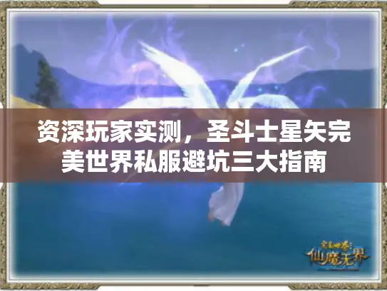 资深玩家实测,圣斗士星矢完美世界私服避坑三大指南 资深玩家实测,圣斗士星矢完美世界私服避坑三大指南