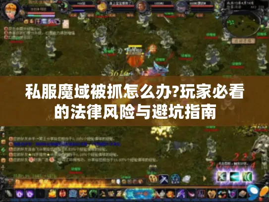 私服魔域被抓怎么办?玩家必看的法律风险与避坑指南