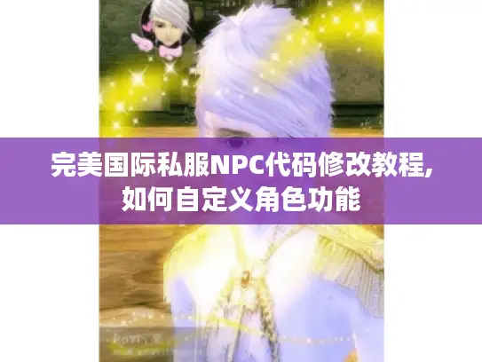 完美国际私服NPC代码修改教程,如何自定义角色功能