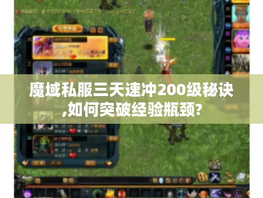 魔域私服三天速冲200级秘诀,如何突破经验瓶颈?