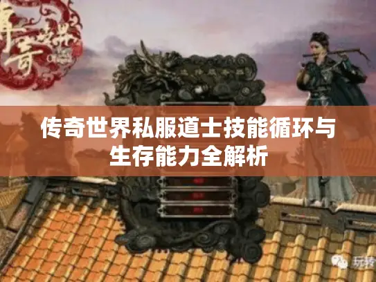 传奇世界私服道士技能循环与生存能力全解析