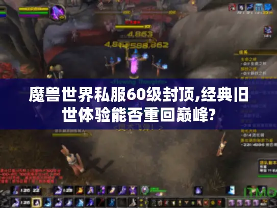 魔兽世界私服60级封顶,经典旧世体验能否重回巅峰?