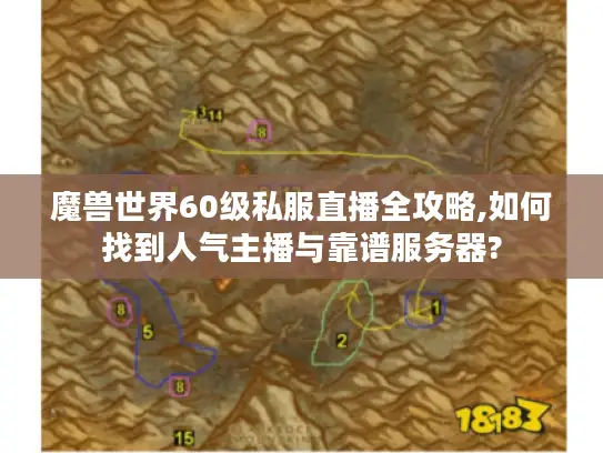 魔兽世界60级私服直播全攻略,如何找到人气主播与靠谱服务器?