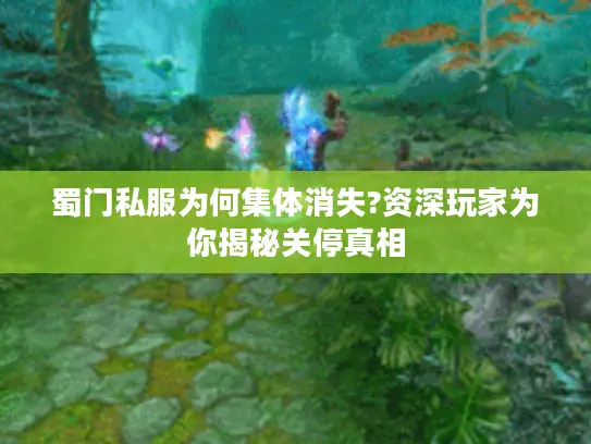 蜀门私服为何集体消失?资深玩家为你揭秘关停真相