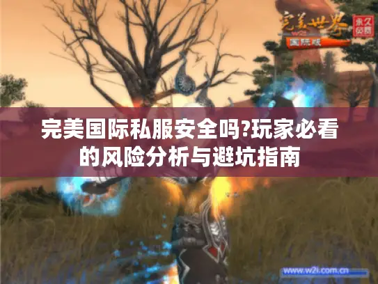 完美国际私服安全吗?玩家必看的风险分析与避坑指南