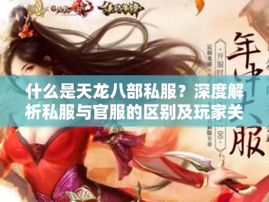 什么是天龙八部私服？深度解析私服与官服的区别及玩家关注要点