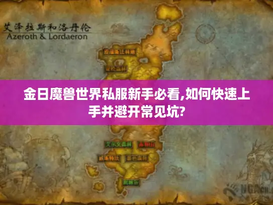 金日魔兽世界私服新手必看,如何快速上手并避开常见坑?