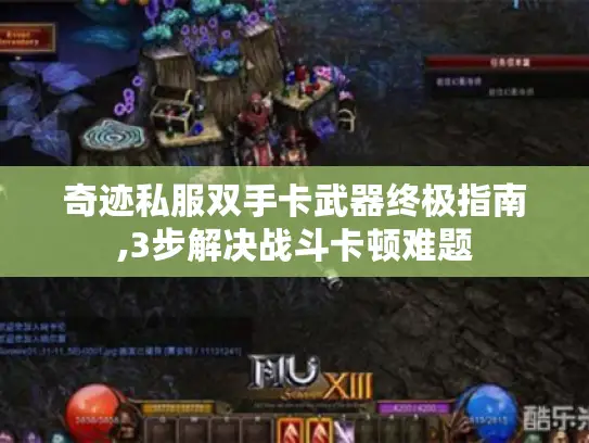 奇迹私服双手卡武器终极指南,3步解决战斗卡顿难题 奇迹私服双手卡武器终极指南,3步解决战斗卡顿难题