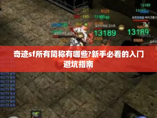 奇迹sf所有简称有哪些?新手必看的入门避坑指南