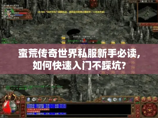 蛮荒传奇世界私服新手必读,如何快速入门不踩坑?