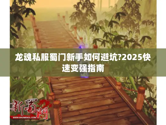 龙魂私服蜀门新手如何避坑?2025快速变强指南