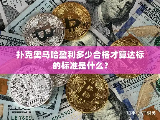 扑克奥马哈盈利多少合格才算达标的标准是什么？