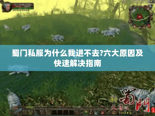 蜀门私服为什么我进不去?六大原因及快速解决指南
