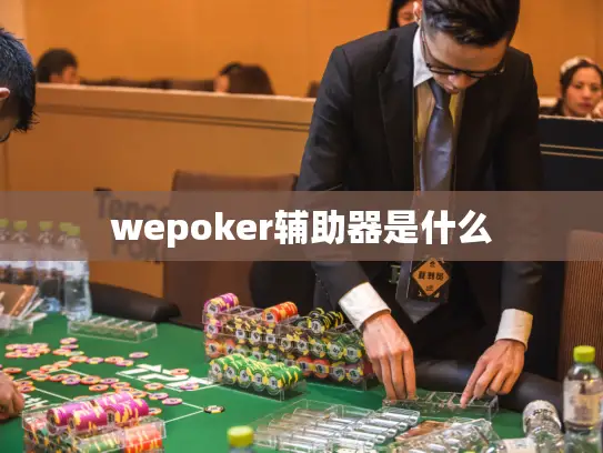 wepoker辅助器是什么 wepoker辅助器是什么
