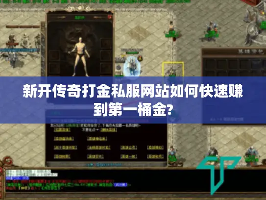 新开传奇打金私服网站如何快速赚到第一桶金?