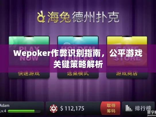 Wepoker作弊识别指南,公平游戏关键策略解析 Wepoker作弊识别指南,公平游戏关键策略解析