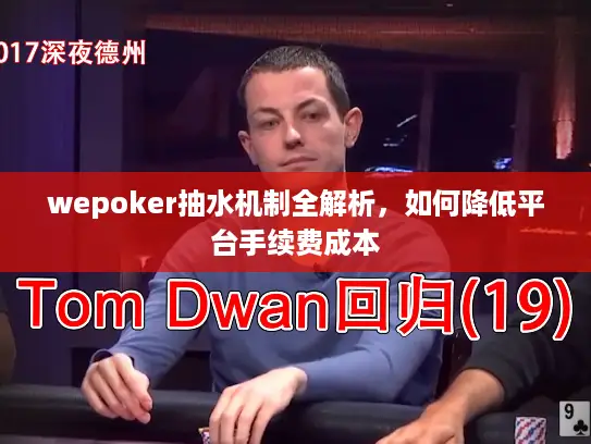 wepoker抽水机制全解析,如何降低平台手续费成本 wepoker抽水机制全解析,如何降低平台手续费成本