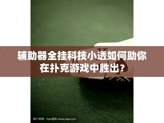 辅助器全挂科技小透如何助你在扑克游戏中胜出？