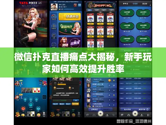 微信扑克直播痛点大揭秘，新手玩家如何高效提升胜率