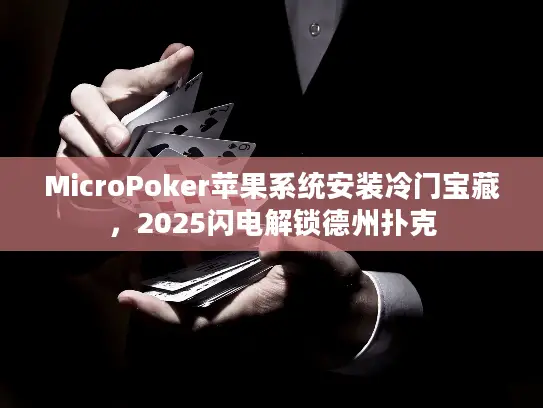MicroPoker苹果系统安装冷门宝藏，2025闪电解锁德州扑克
