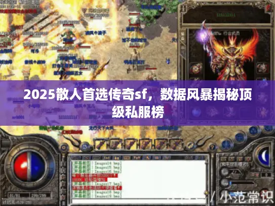 2025散人首选传奇sf,数据风暴揭秘顶级私服榜 2025散人首选传奇sf,数据风暴揭秘顶级私服榜
