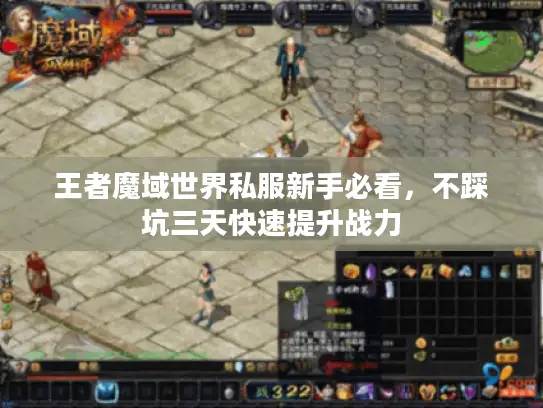 王者魔域世界私服新手必看，不踩坑三天快速提升战力