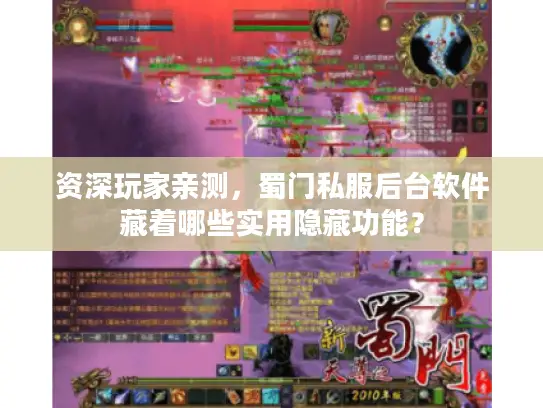 资深玩家亲测，蜀门私服后台软件藏着哪些实用隐藏功能？