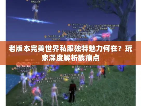 老版本完美世界私服独特魅力何在？玩家深度解析戳痛点