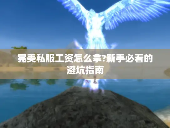完美私服工资怎么拿?新手必看的避坑指南 完美私服工资怎么拿?新手必看的避坑指南