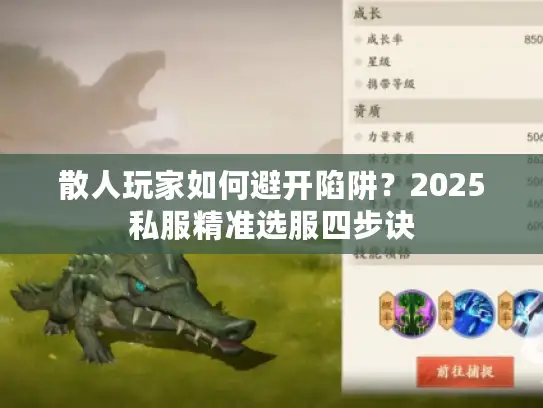 散人玩家如何避开陷阱？2025私服精准选服四步诀