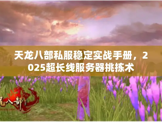 天龙八部私服稳定实战手册，2025超长线服务器挑拣术