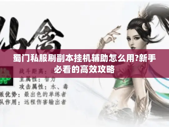 蜀门私服刷副本挂机辅助怎么用?新手必看的高效攻略