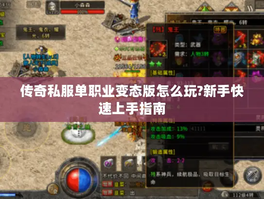 传奇私服单职业变态版怎么玩?新手快速上手指南