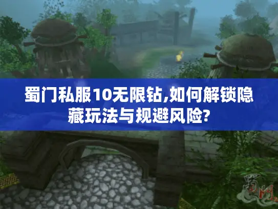 蜀门私服10无限钻,如何解锁隐藏玩法与规避风险?